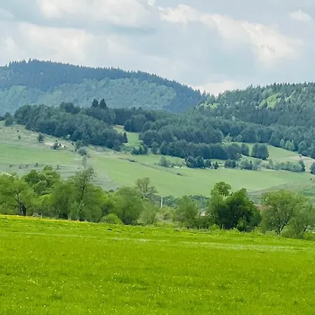 Dzsesszika&erik