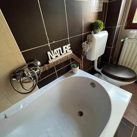 Dzsesszika&erik Holiday home Casinu Nou